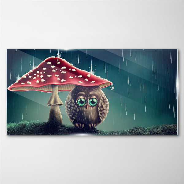Foto op glas Een uil onder een paddenstoel in de regen