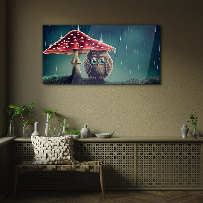 Foto op glas Een uil onder een paddenstoel in de regen