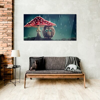 Foto op glas Een uil onder een paddenstoel in de regen