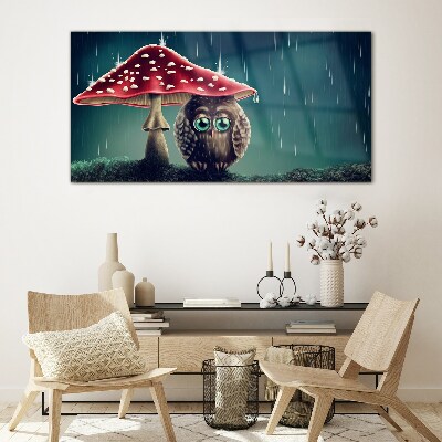Foto op glas Een uil onder een paddenstoel in de regen
