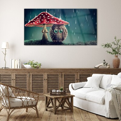 Foto op glas Een uil onder een paddenstoel in de regen