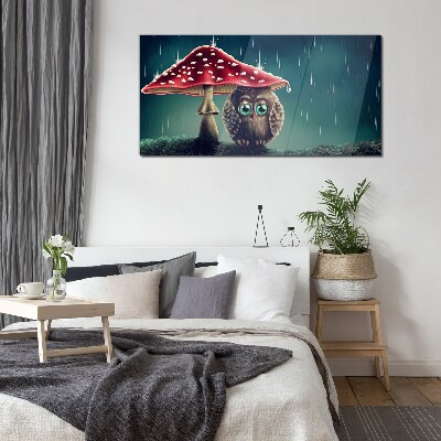 Foto op glas Een uil onder een paddenstoel in de regen