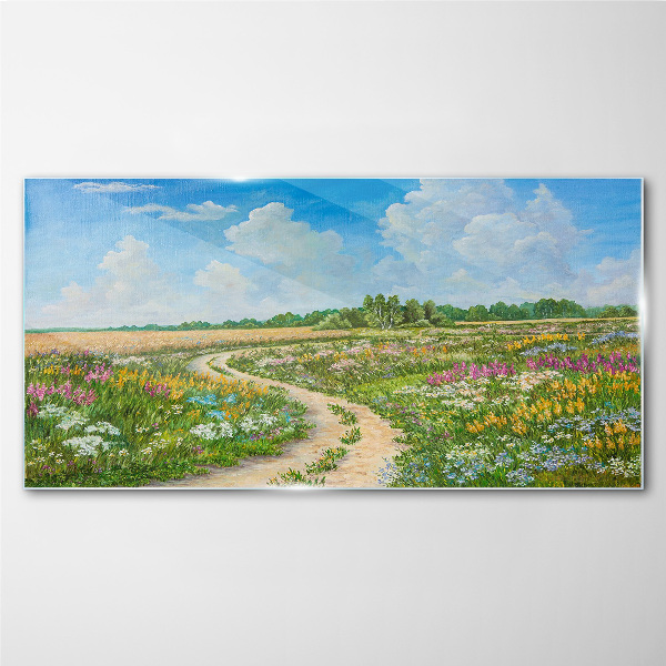 Foto op glas Een bloemenpad tussen de weilanden