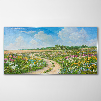 Foto op glas Een bloemenpad tussen de weilanden