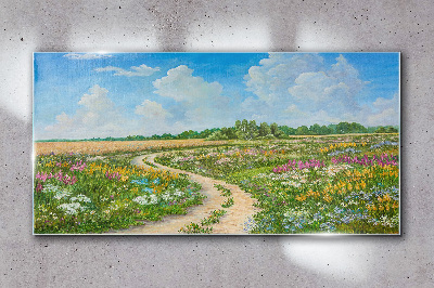 Foto op glas Een bloemenpad tussen de weilanden