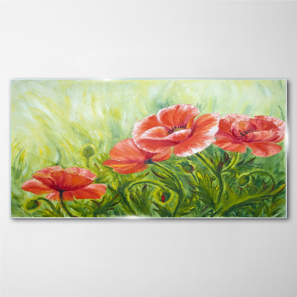 Foto op glas Bloemen in een lenteweide