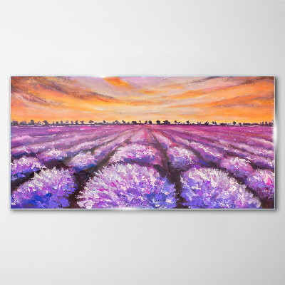 Schilderij op glas Paarse lavendelvelden bij zonsondergang
