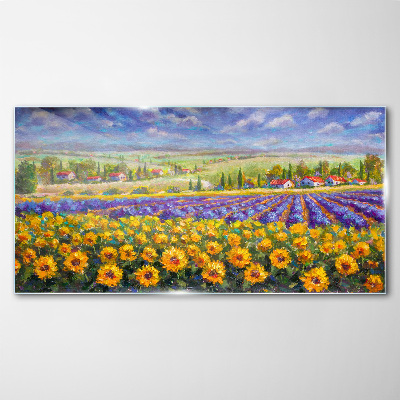 Schilderij op glas Een bloemenlandschap in het zonlicht