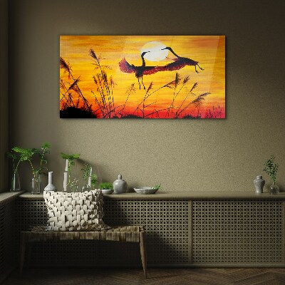 Foto op glas Dansende kraanvogels bij zonsondergang