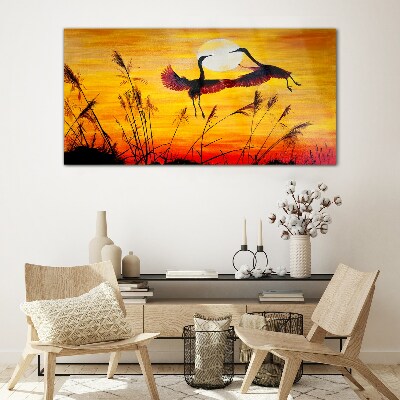 Foto op glas Dansende kraanvogels bij zonsondergang