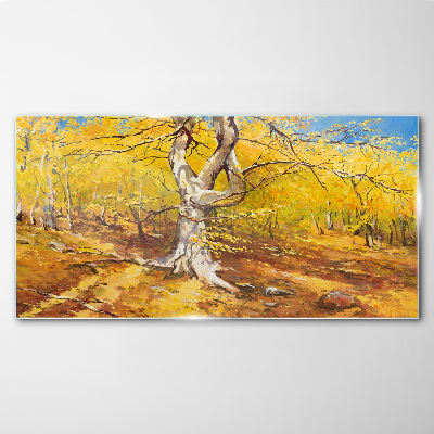 Foto op glas Gouden bos in herfstaura