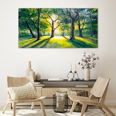 Foto op glas Gouden stralen in het bos