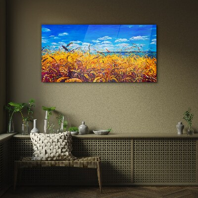 Foto op glas Gouden velden onder een blauwe lucht