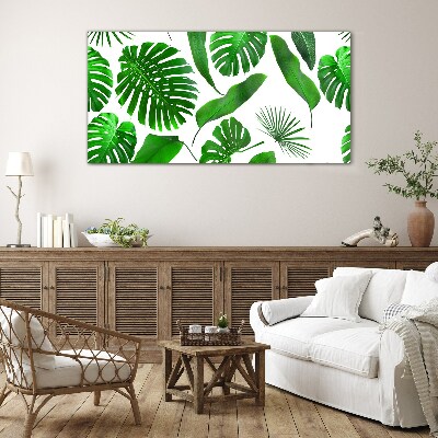 Foto op glas Tropisch groen in de bladeren