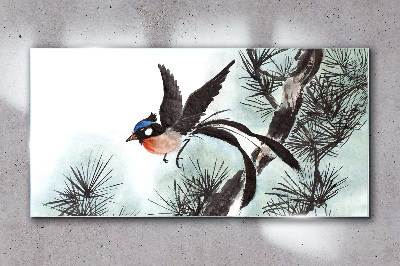 Foto op glas Een vogel in vlucht over de dennen