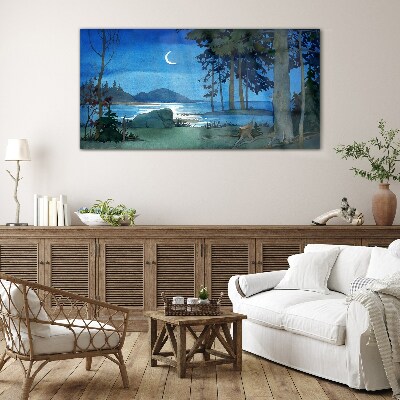 Schilderij op glas Nachtlandschap over het water