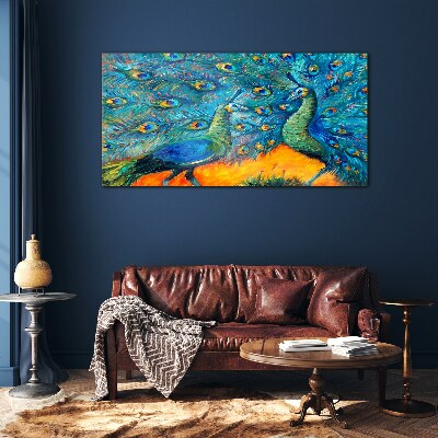 Schilderij op glas Dansende pauwen in een kleurrijk schouwspel