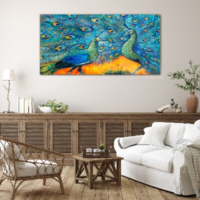 Schilderij op glas Dansende pauwen in een kleurrijk schouwspel