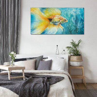 Glas foto Goudvis in gekleurd water