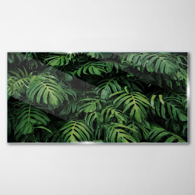 Foto op glas Groene jungle