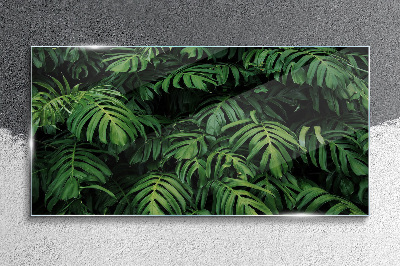 Foto op glas Groene jungle