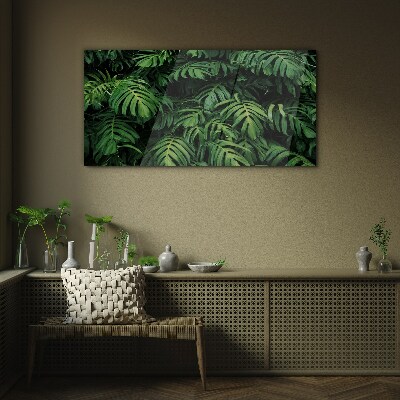 Foto op glas Groene jungle