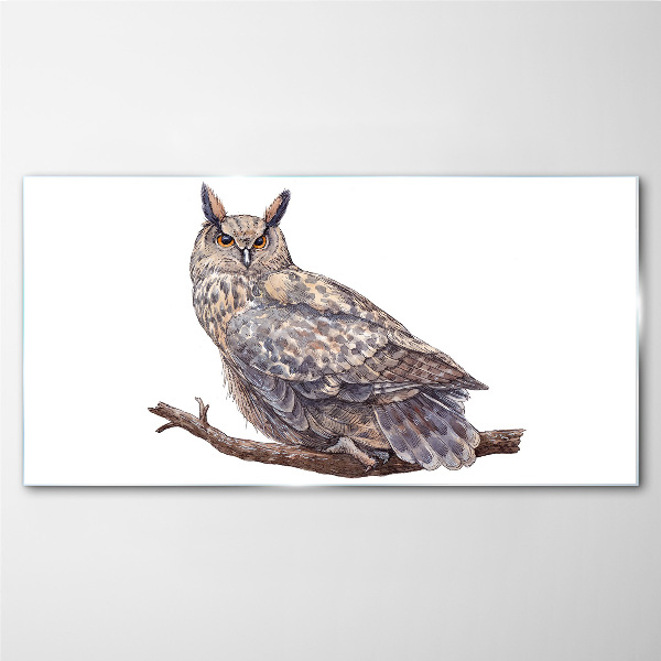 Schilderij op glas Uil op een tak