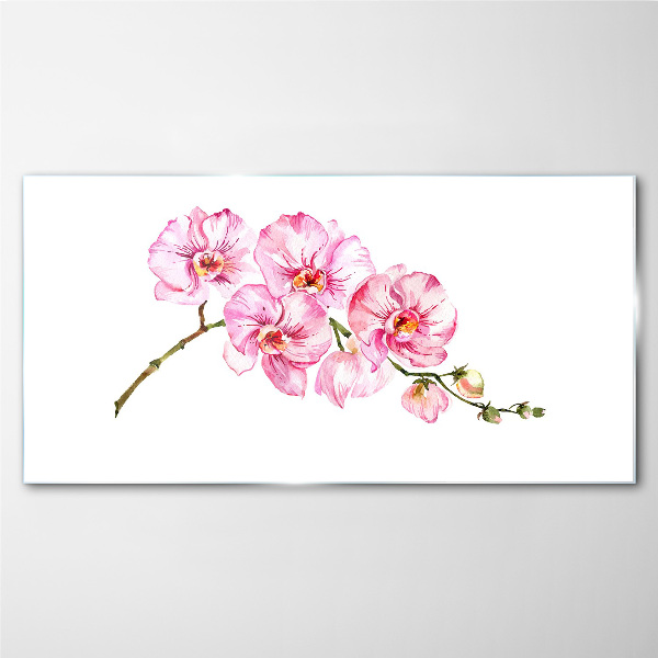 Schilderij op glas Roze orchideeën op een witte achtergrond