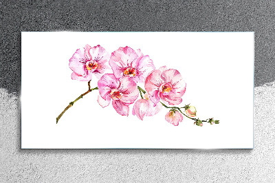 Schilderij op glas Roze orchideeën op een witte achtergrond