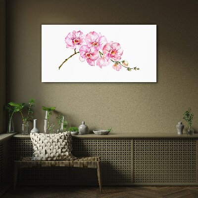 Schilderij op glas Roze orchideeën op een witte achtergrond