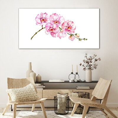 Schilderij op glas Roze orchideeën op een witte achtergrond