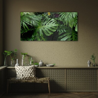 Schilderij op glas Tropisch groen in de diepten van de natuur
