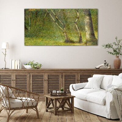 Glas foto Groen bos in het zonlicht