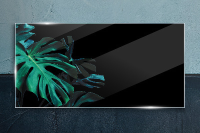 Foto op glas Groene bladeren op een zwarte achtergrond