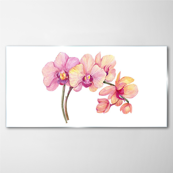 Glas foto De bloemenschoonheid van orchideeën