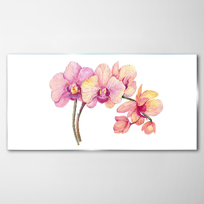 Glas foto De bloemenschoonheid van orchideeën