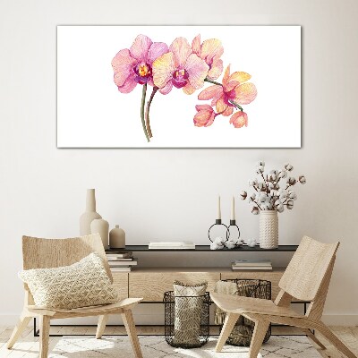 Glas foto De bloemenschoonheid van orchideeën