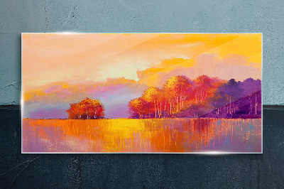 Foto op glas Kleurrijke zonsondergang over de weide