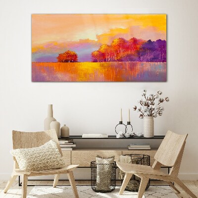 Foto op glas Kleurrijke zonsondergang over de weide