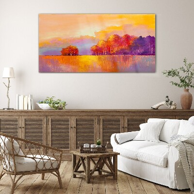 Foto op glas Kleurrijke zonsondergang over de weide