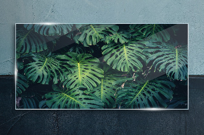 Glas foto Tropisch groen in monsterabladeren