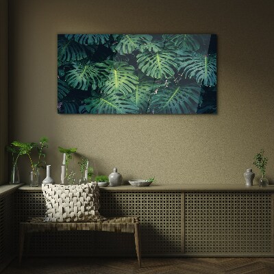Glas foto Tropisch groen in monsterabladeren