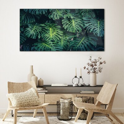 Glas foto Tropisch groen in monsterabladeren