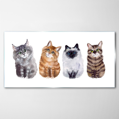 Foto op glas Katten in verschillende tinten