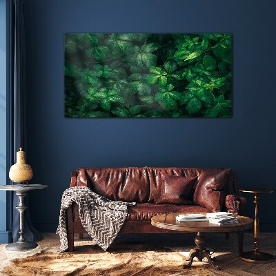 Glas foto Groen struikgewas van bladeren