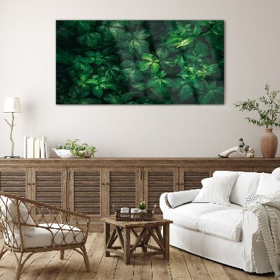 Glas foto Groen struikgewas van bladeren