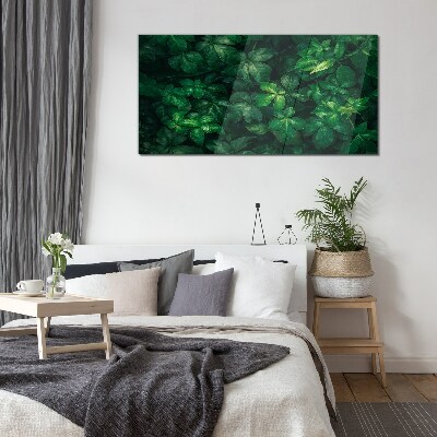 Glas foto Groen struikgewas van bladeren