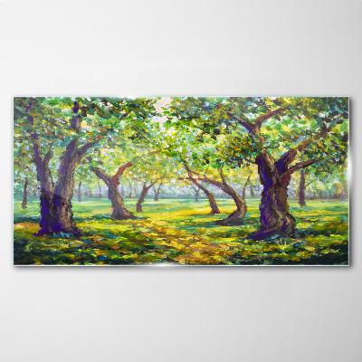 Glas foto Een groen bos in de zonnestralen