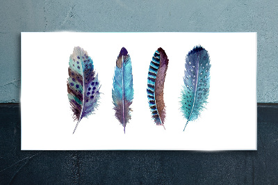 Foto op glas Kleurrijke veren op een witte achtergrond