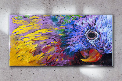 Glas foto Kleurrijk portret van een papegaai